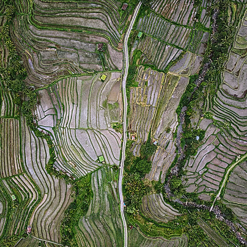 Wall Street – Wallpaper Bird See 3ds Max