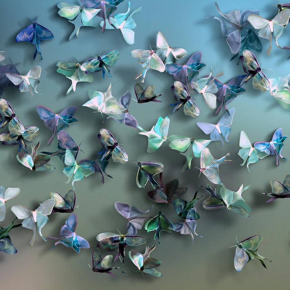 Wall Street – Wallpaper FarFalle 3ds Max