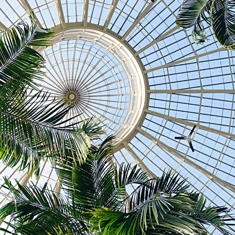 Wall Street – Wallpaper Frame 2019 3ds Max