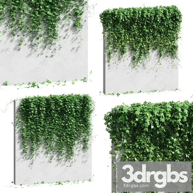 Wall With Grape Leaves 3dsmax Download