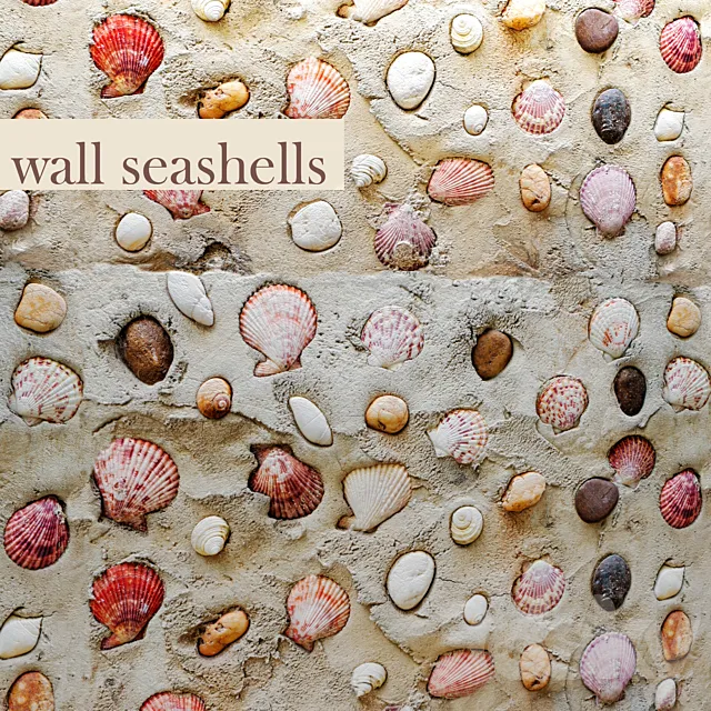 Wall with seashells. 3ds Max