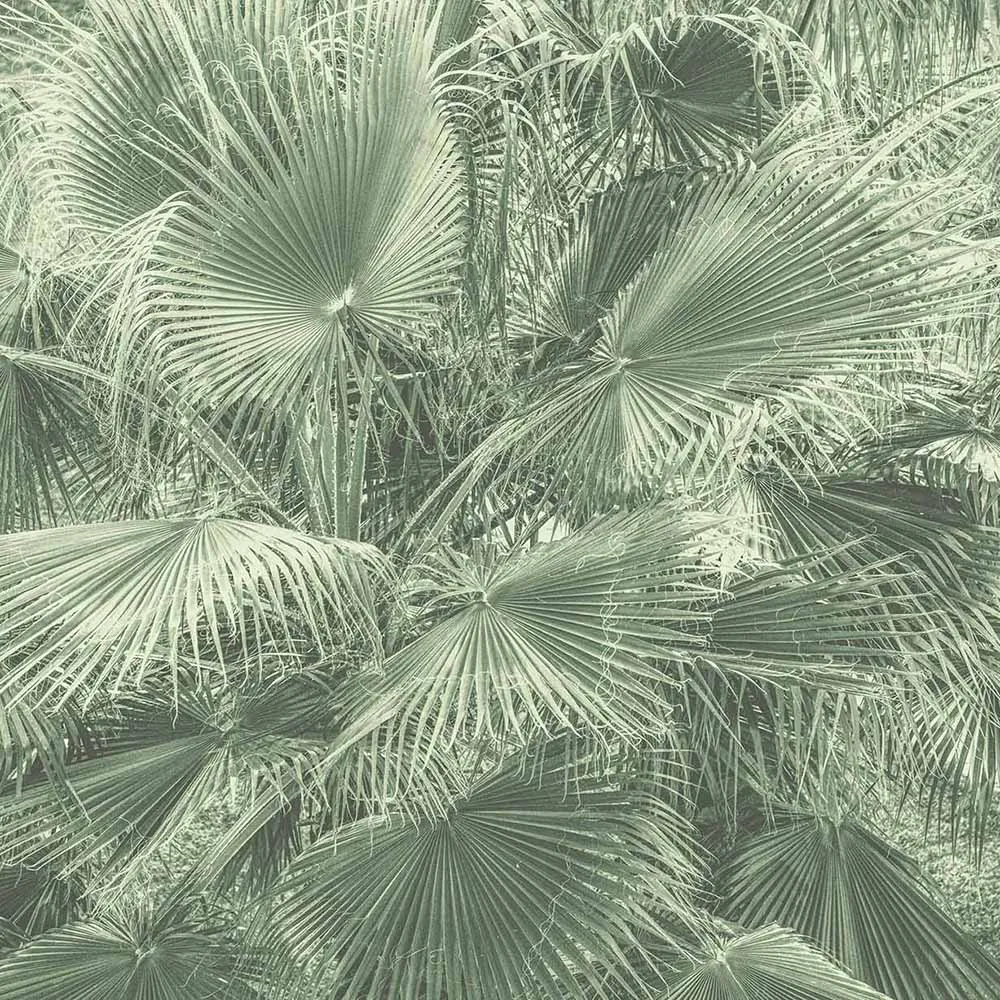 WallPepper – Wallpaper Blow up 3ds Max