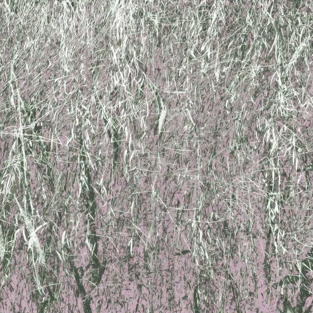 WallPepper – Wallpaper Branches 3ds Max