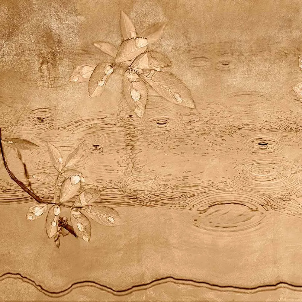 WallPepper – Wallpaper Drops dance 3ds Max