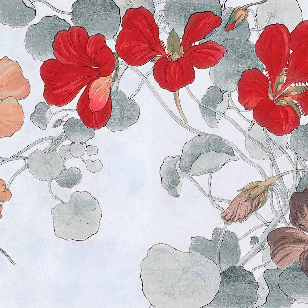 WallPepper – Wallpaper Hana 3ds Max