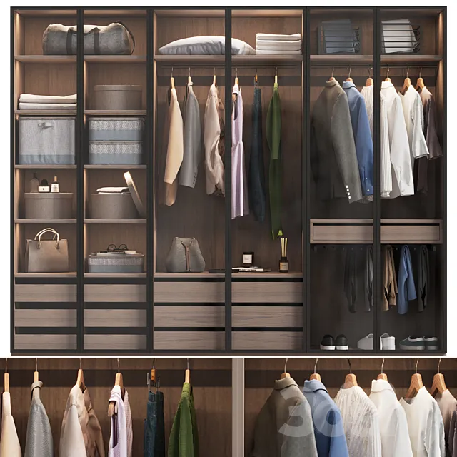 Wardrobe with clothes with glass doors 3ds Max