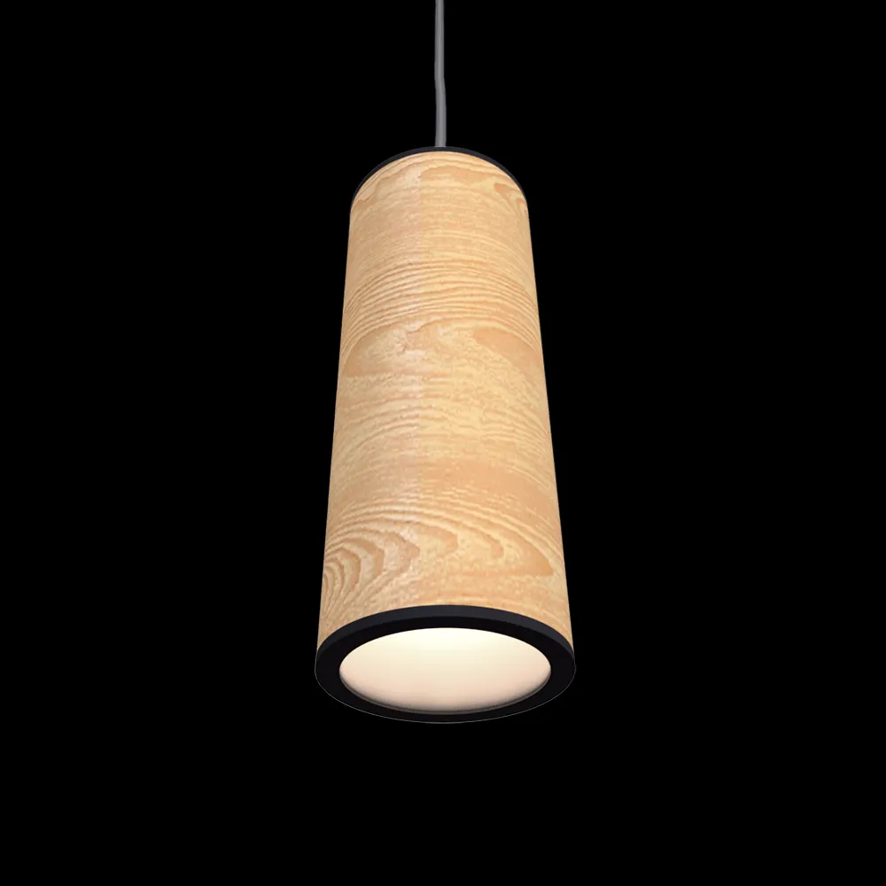 WasserKRAFT – Pendant lamp Jupiter Spot L 3ds Max