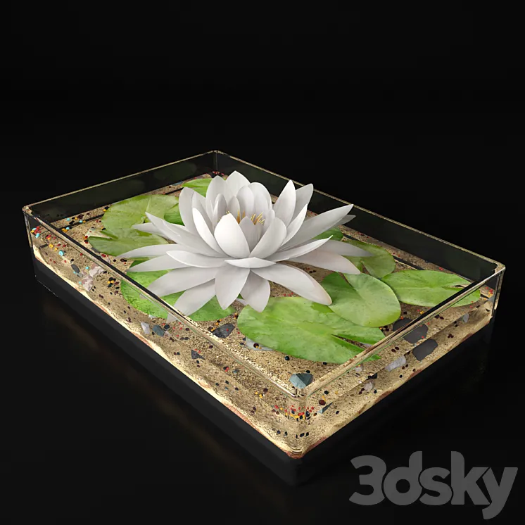 Water lily 3DS Max