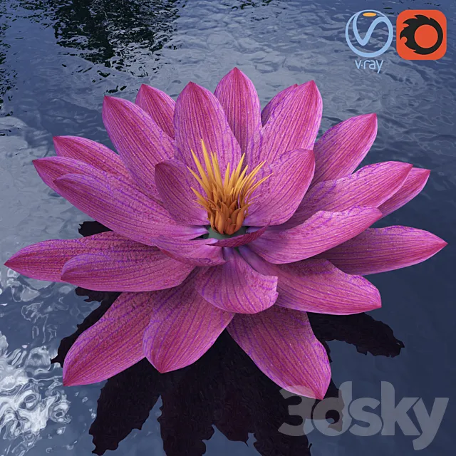 Water lily – Water lily 3DS Max Model