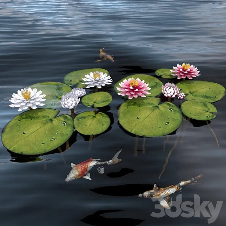 waterlily 2 3DS Max