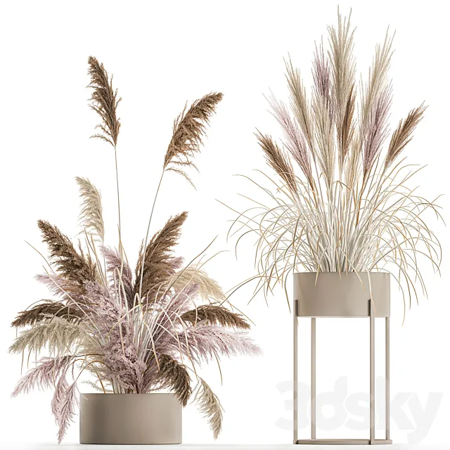 Wedding bouquet composition of pink dried flowers in a vase with Pampas grass Cortaderia veynik. 192. 3ds Max