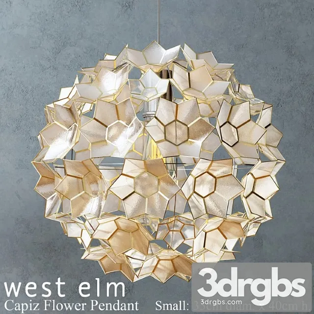 West Elm Capiz Flower Pendant 3dsmax Download