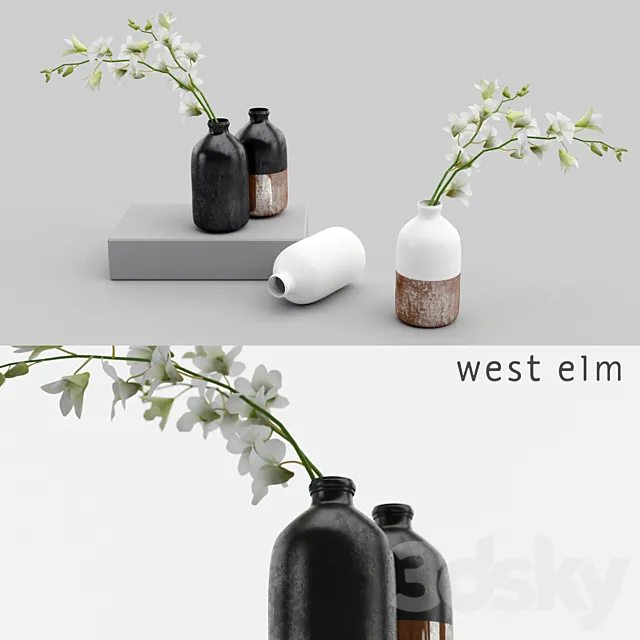 Westelm vases with Orchids 3DSMax File