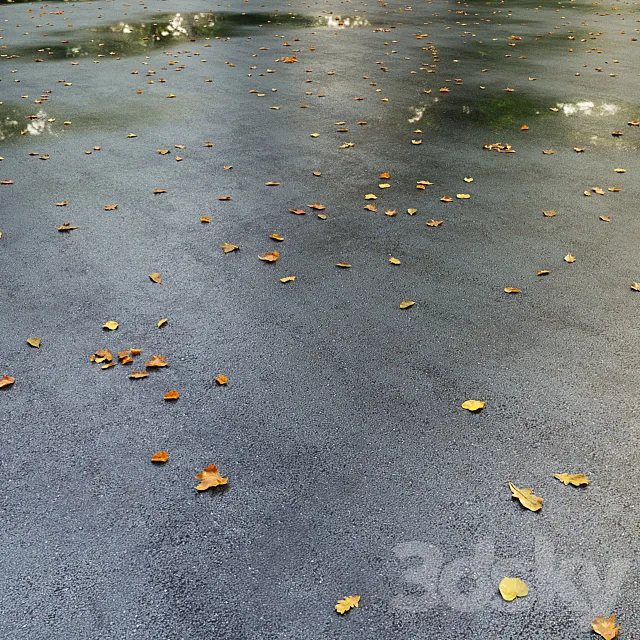 Wet asphalt with leaves. Autumn. Editable 3DS Max Model