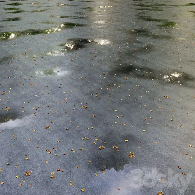 Wet asphalt with leaves. Autumn. Editable 3dsMax Model