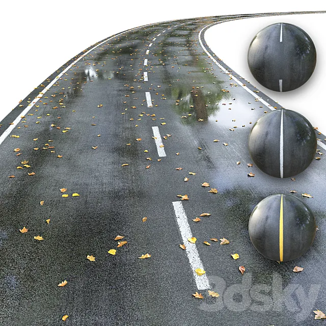 Wet road with markings. Autumn 3DS Max Model