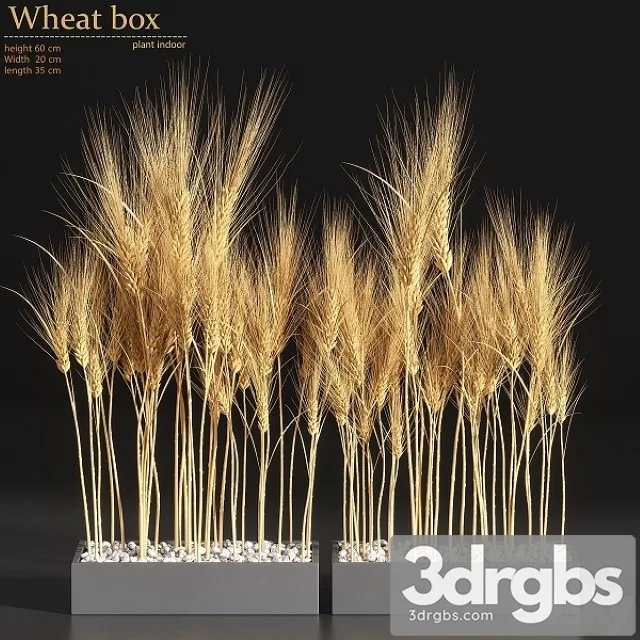 Wheat Box 3dsmax Download