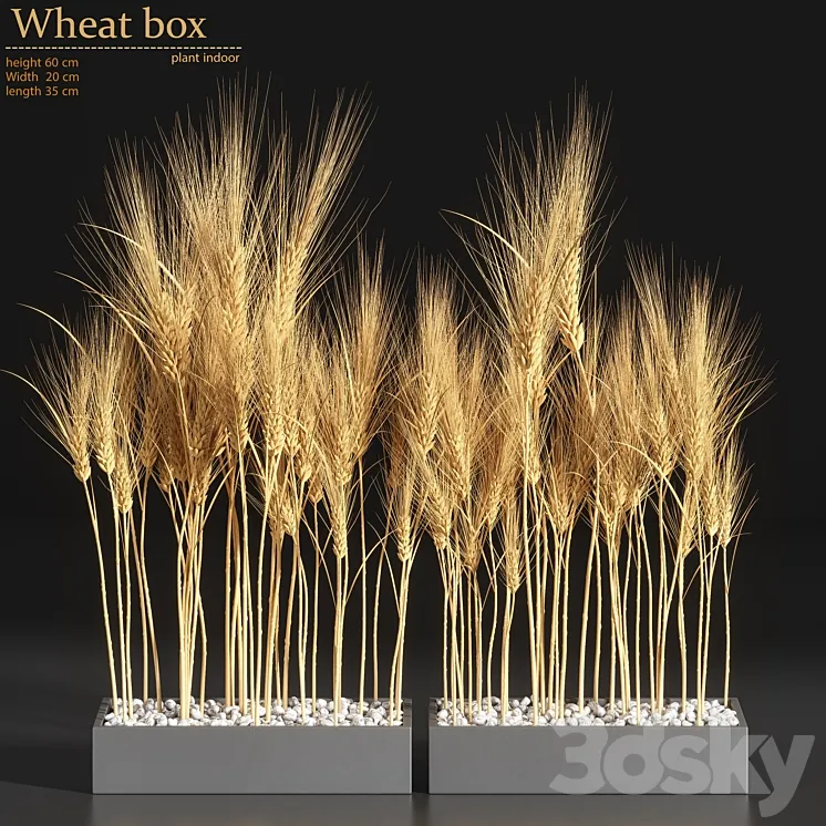 Wheat Box 3DS Max