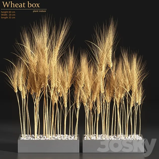Wheat Box 3DSMax File