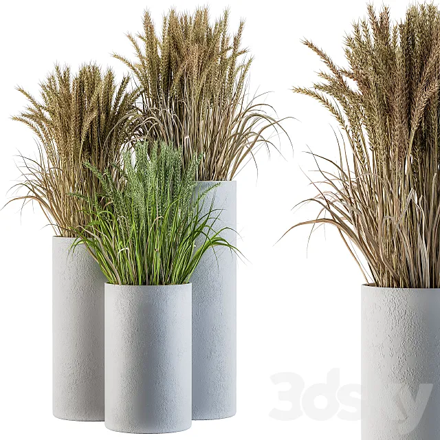 Wheat with Wild Grass in Concrete Round Pot 3DS Max Model