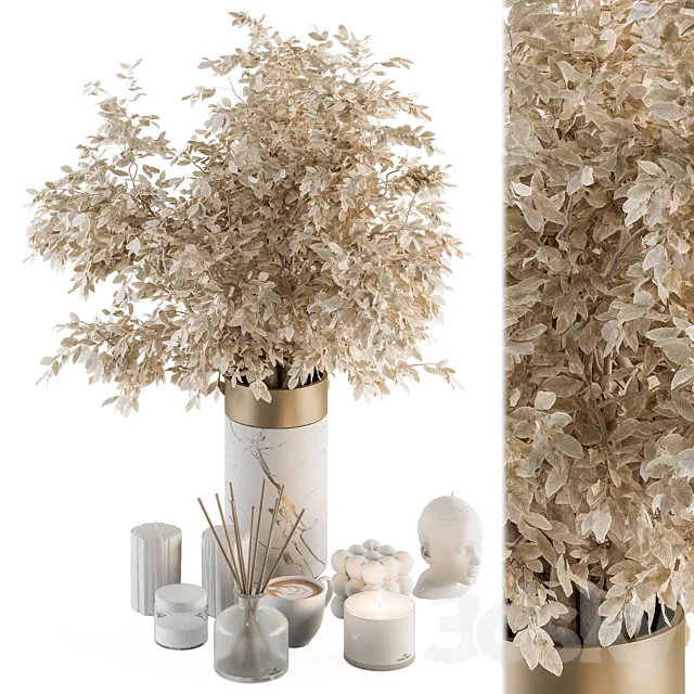 white and Gold Decorative Set with Dried plant – Set 106 3DSMax File