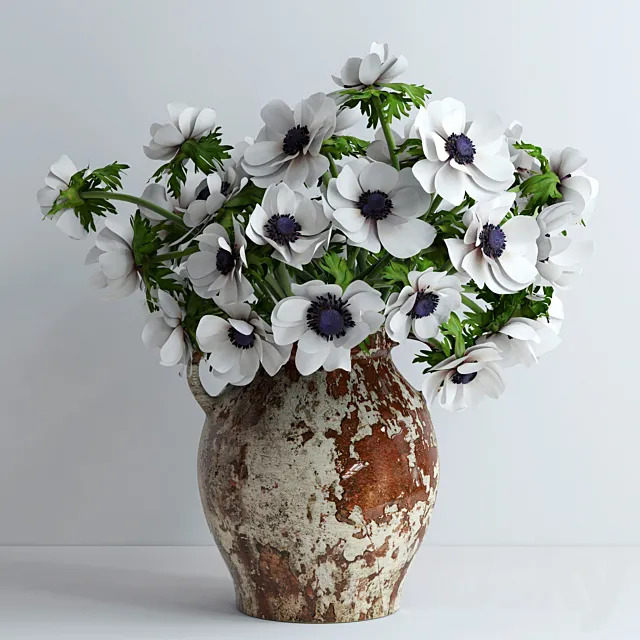 White anemones 3DSMax File