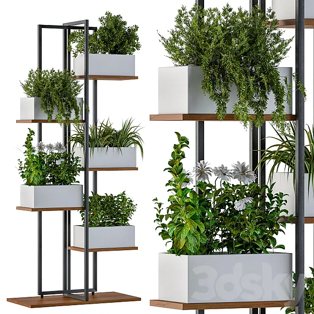 White Box Plants on stand 3ds Max