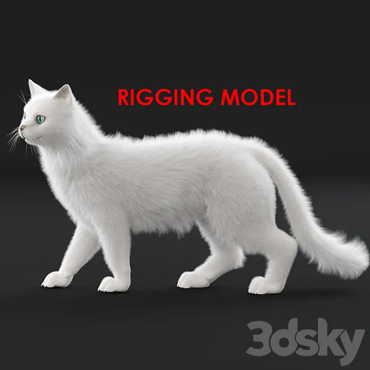White cat (rig) 3DS Max