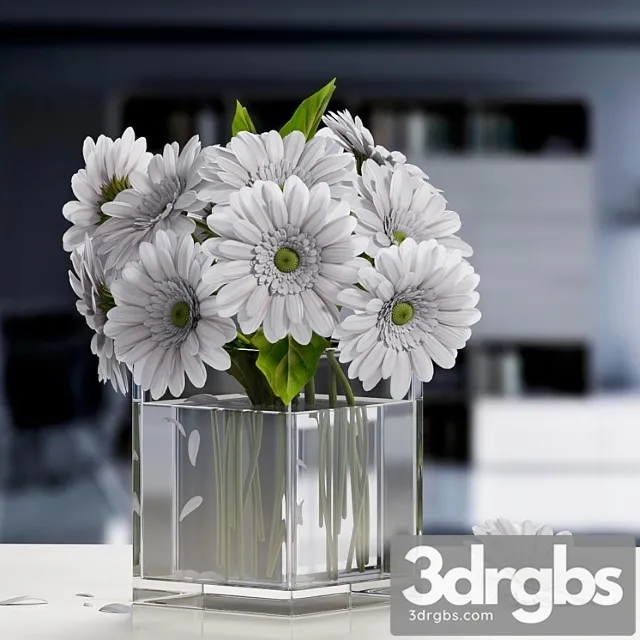White Gerbera Flower 3dsmax Download
