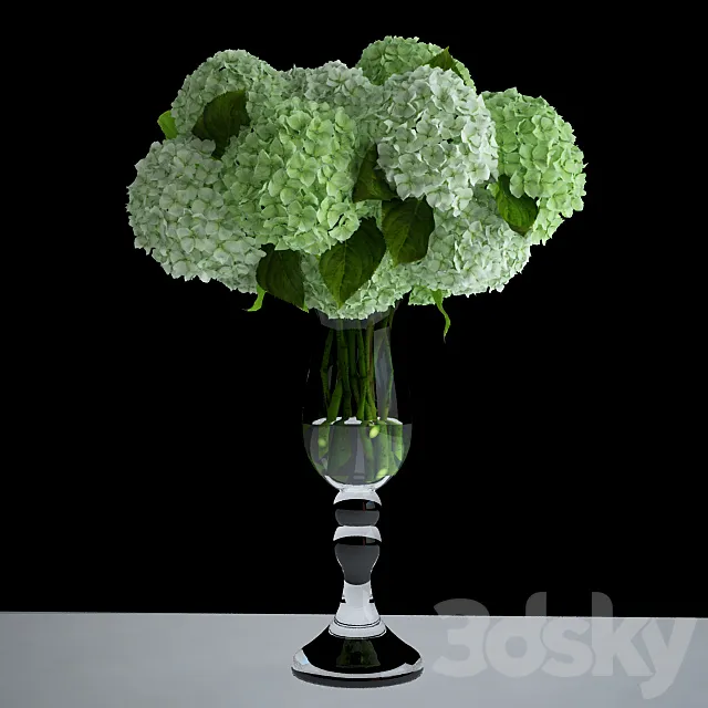 White hydrangea 3DS Max Model