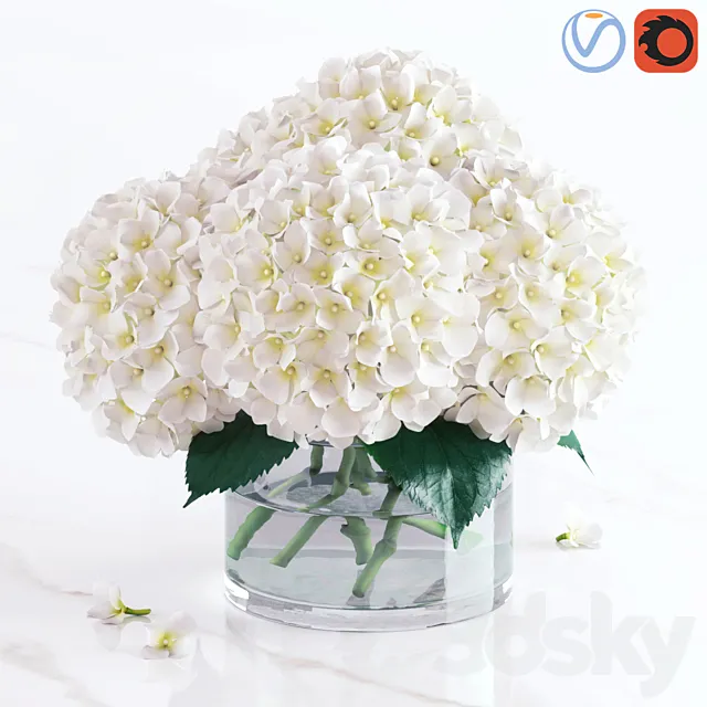 White hydrangea bouquet 3DS Max Model