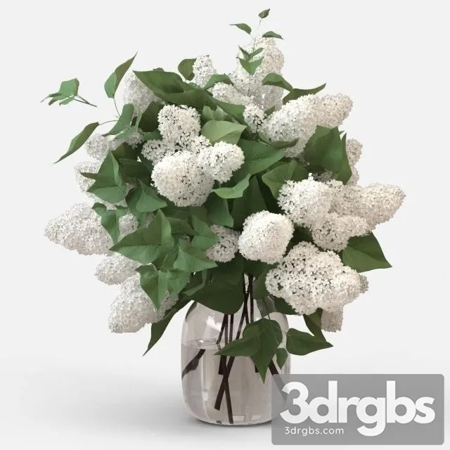 White Lilac Bouquet 3dsmax Download