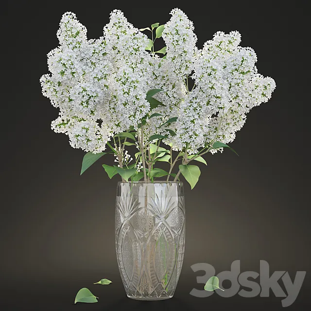 White lilac in a crystal vase _ White Lilac in a crystal Vase 3DSMax File