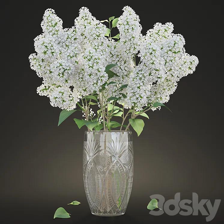 White lilac in a crystal vase \/ White Lilac in a crystal Vase 3DS Max