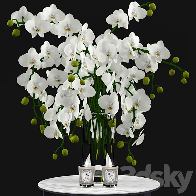 White Orchids and Candles 3ds Max