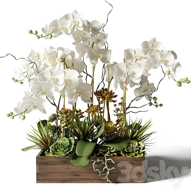 White orchids and succulents in a rectangular planter 3ds Max