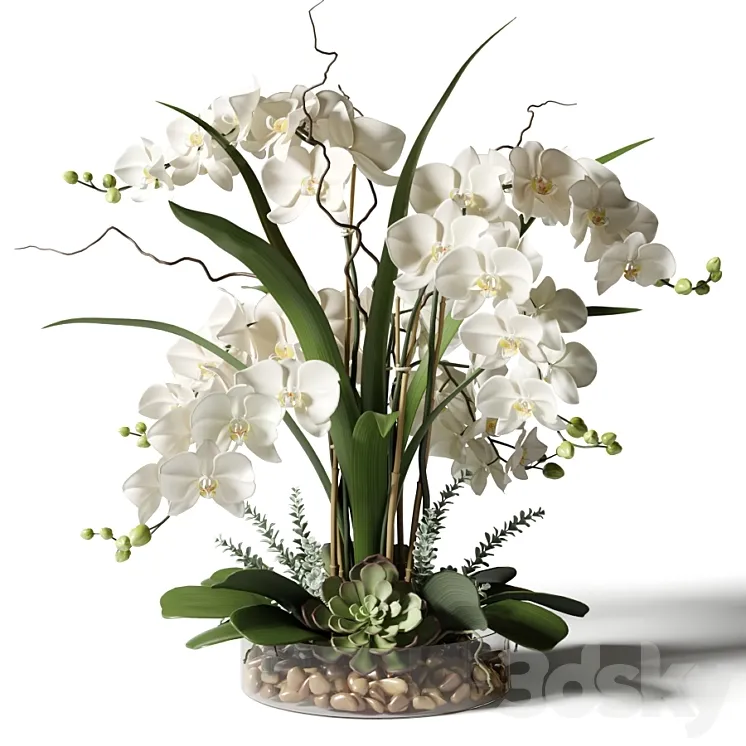 White orchids in a glass vase with stones 3DS Max