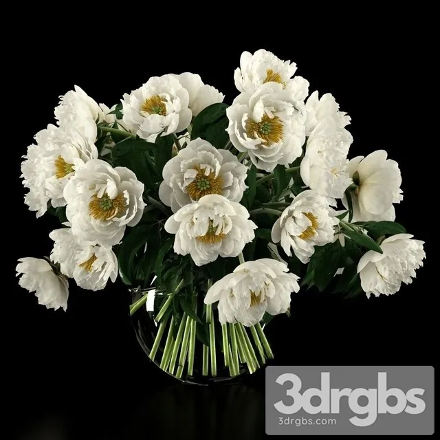 White Peonies Bouquet 3dsmax Download