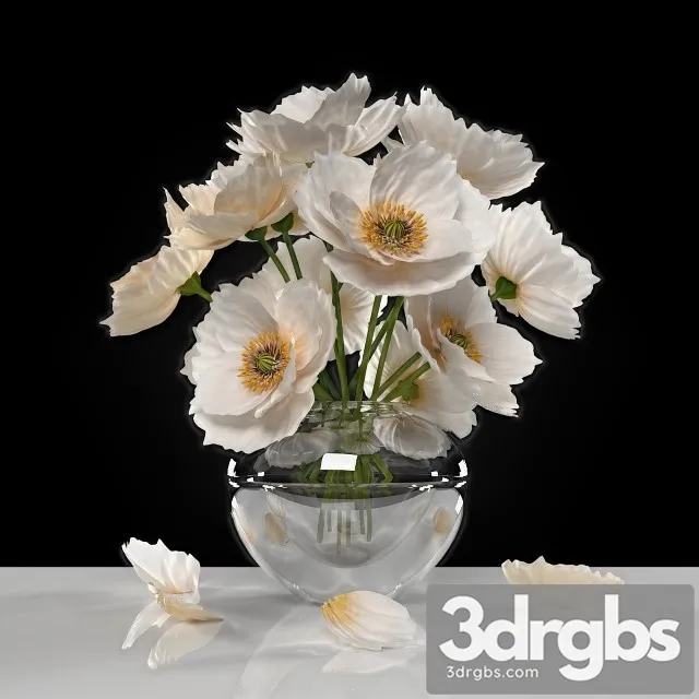 White Poppies 3dsmax Download
