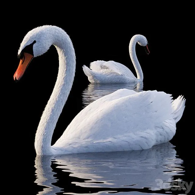 White Swan 3dsMax Model