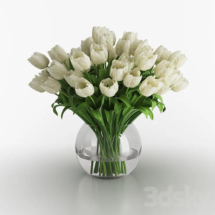 White tulips in a vase 3DS Max