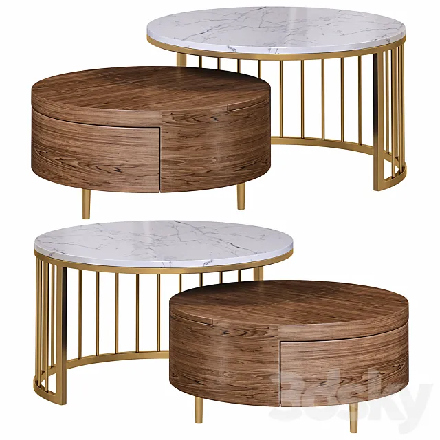 Whitewalnut round nesting coffee table by homary 3dsMax Model