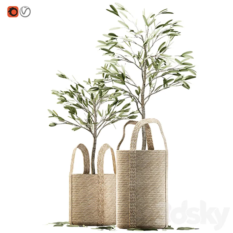 Wicker basket containing the delicate olive tree in pastel tones 3DS Max
