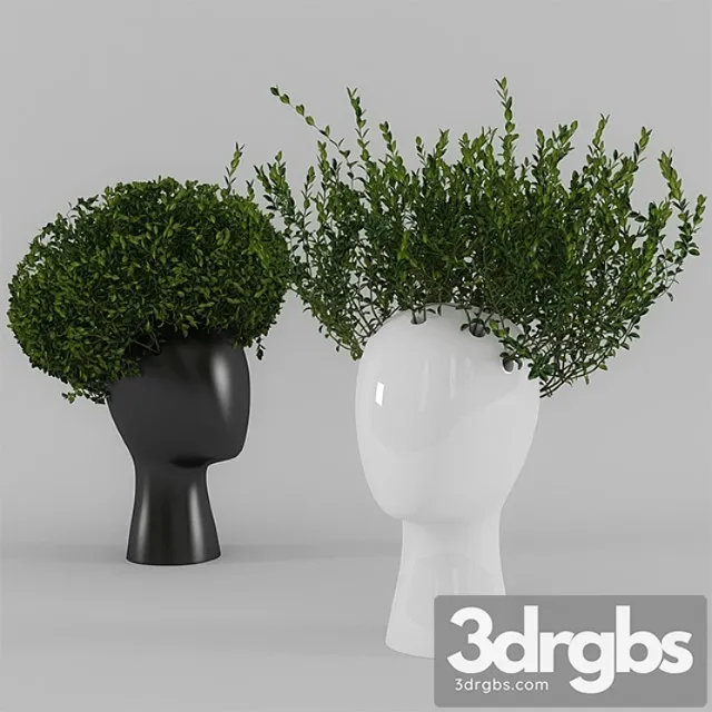 Wig Vase With Boxwood Part 1 3dsmax Download