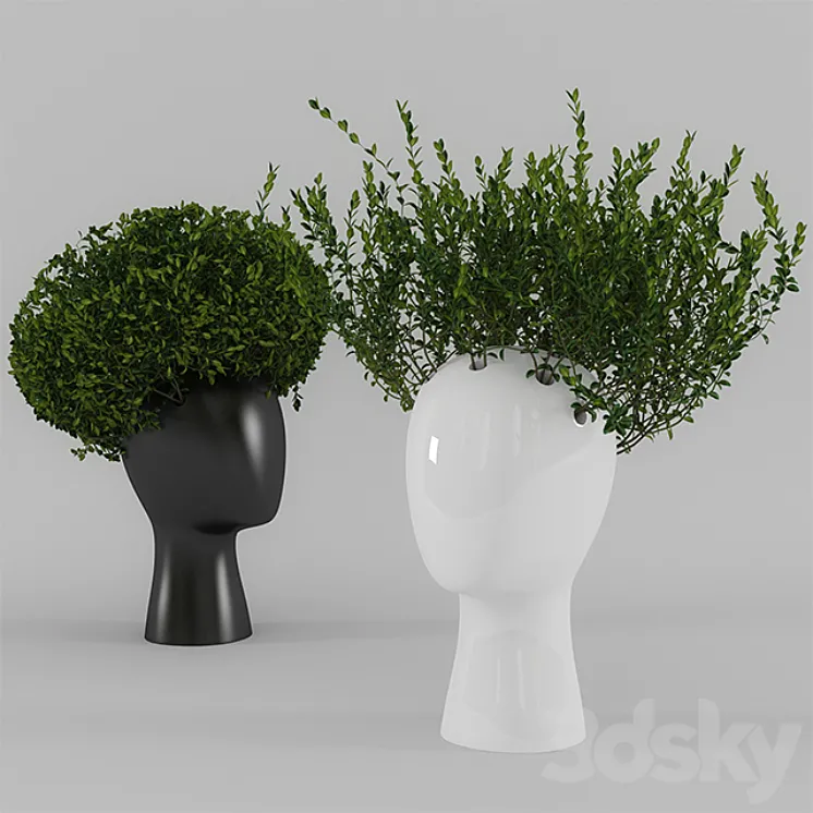 Wig vase with boxwood (part 1) 3DS Max