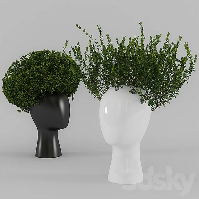 Wig vase with boxwood (part 1) 3DSMax File