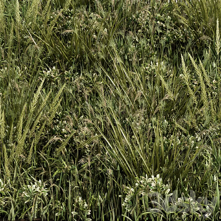 Wild Grass Green – Grass Set 03 3DS Max