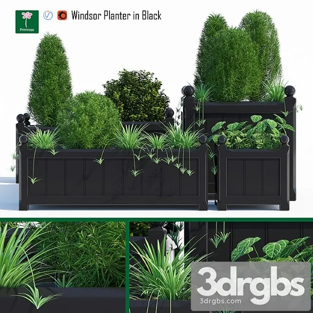 Windsor planter