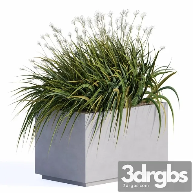 Windy Grass And Plants In Concrete Box 3dsmax Download