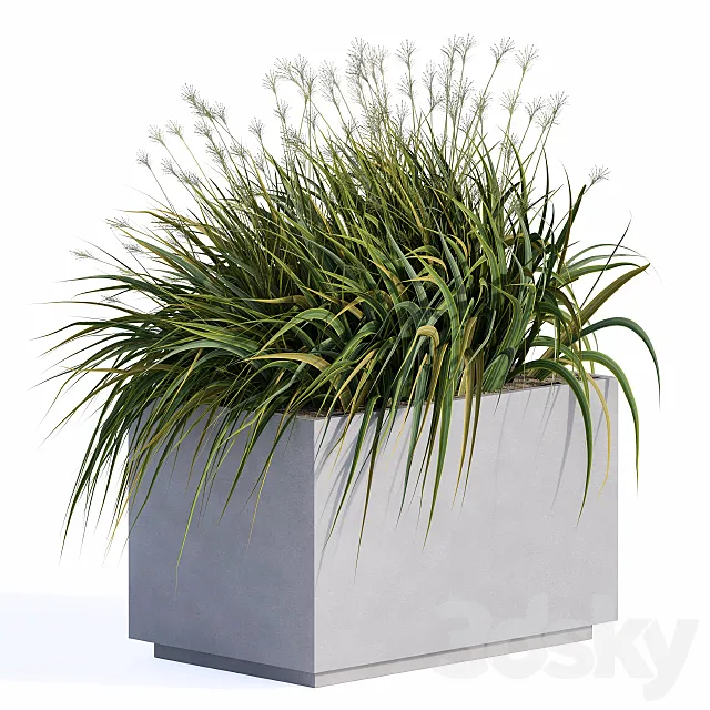 windy grass and Plants in Concrete Box 3ds Max